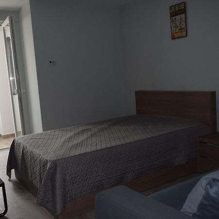 Apartament Palatul De Justitie Rhbm Baia Mare Exterior foto